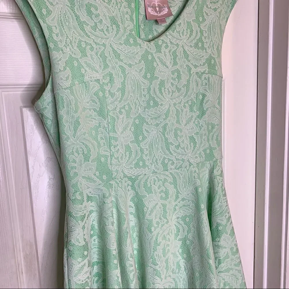 Anthropologie Romeo + Juliet Couture Mint Green Lace Skater Dress Size Medium